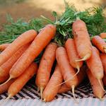 PASTANAGUES ECO 1 MANAT 0,750 kg | 209 | ORIGEN: PALAFOLLS