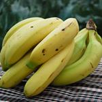 PLATAN ECO 1 Kg 6-8 unitats | 186 | ORIGEN: CANARIES
