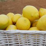 LLIMONES ECO 1 KG.  | 19 | ORIGEN: VALÈNCIA
