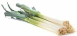 PORROS ECO MANAT 0,750 kg 2 a 3 peces | 294 | ORIGEN: L'HORT D'EN PAU
