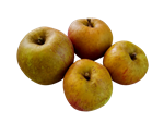 POMA BRUNA DE MUNTANYA 500GR | 280 | ORIGEN: Biolord, St Llorenç de Morunys