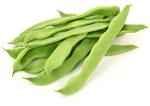 MONGETA TENDRA ECO  500GR  | 125 | ORIGEN: HORT D'EN PAU 