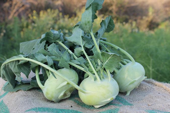 PREPARAR EL COLRAVE | Venda de verdures i fruites 100% ecològiques