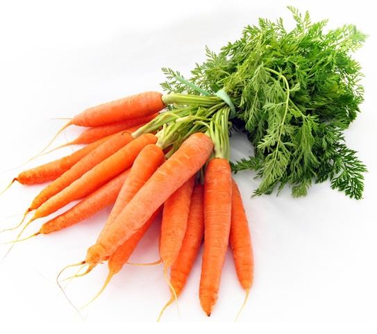 PASTANAGUES ECO 1 MANAT 0,750 kg | 209 | ORIGEN: PALAFOLLS