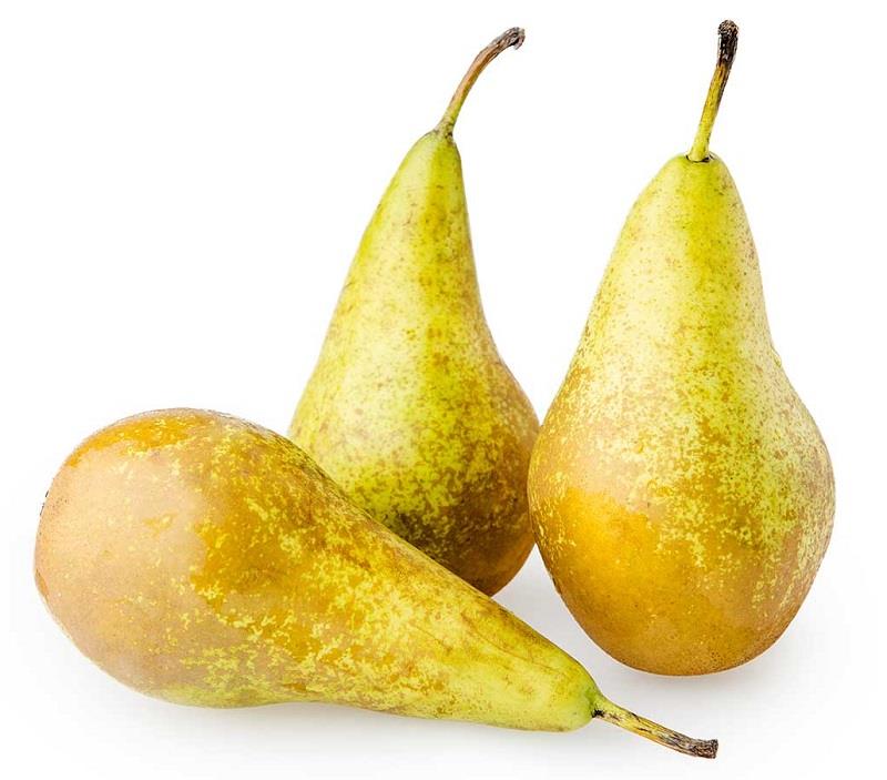 PERA CONFERÈNCIA ECO  500GR | 641 | ORIGEN: LLEIDA