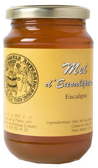 MEL d'EUCALIPTO ECO 500GR | 671 | ORIGEN: LLEIDA
