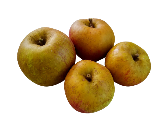 POMA BRUNA DE MUNTANYA 500GR | 280 | ORIGEN: Biolord, St Llorenç de Morunys