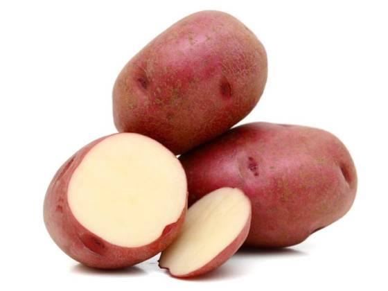 PATATA RED PONTIAC 1 KG ECO COLLITA PRÒPIA | 342 | ORIGEN: L'HORT D'EN PAU