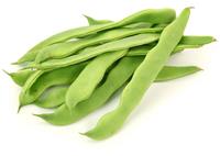 MONGETA TENDRA ECO  500GR  | 125 | ORIGEN: HORT D'EN PAU 