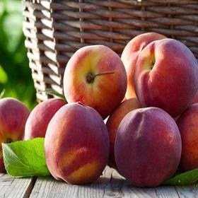 PRÉSSEC ECOLÒGIC ROIG 500GR | 394 | ORIGEN: BAIX EBRE  | Venda de verdures i fruites 100% ecològiques