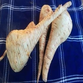 XIRIVIA ECOLÒGICA 500gr | 349 | ORIGEN: TARRAGONA | Venda de verdures i fruites 100% ecològiques