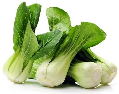 PAK CHOI ECOLÒGIC 1 UNITAT | 394 | ORIGEN: CABRILS | Venda de verdures i fruites 100% ecològiques