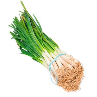 CALÇOTS ECOLÒGICS 25 UNITATS MANAT | 53 | ORIGEN: L'HORT D'EN PAU | Venda de verdures i fruites 100% ecològiques