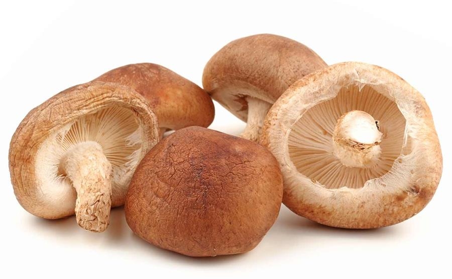 XIITAKE ECOLÒGIC 200gr | 394 | ORIGEN: ORRIUS | Venda de verdures i fruites 100% ecològiques