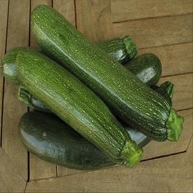 CARBASSÓ ECOLÒGIC 500gr | 629 | ORIGEN: TARRAGONA | Venda de verdures i fruites 100% ecològiques
