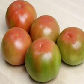 TOMÀQUET AMANIR ECOLÒGIC 500GR. | 634 | ORIGEN: L'HORT D'EN PAU | Venda de verdures i fruites 100% ecològiques