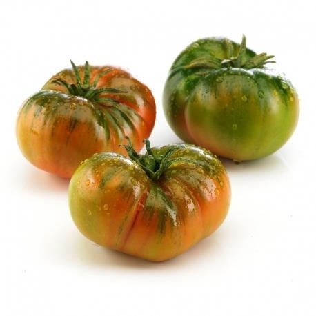 TOMAQUET MARMANDINO ECO 500GR | 631 | ORIGEN: BAIX CAMP | Venda de verdures i fruites 100% ecològiques