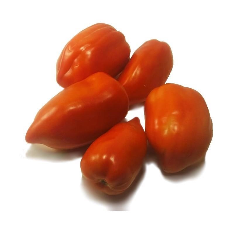 TOMAQUET DEL PEBROT ECOLÒGIC 500gr  | 648 | ORIGEN: L'HORT D'EN PAU | Venda de verdures i fruites 100% ecològiques