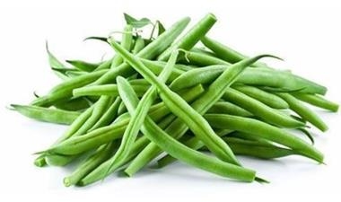 MONGETA TENDRA RODONA 500GR ECOLÒGICA | 125 | ORIGEN: TARRAGONA | Venda de verdures i fruites 100% ecològiques