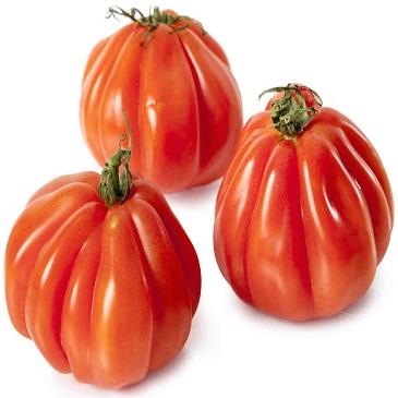 TOMAQUET COR DE BOU ECOLÒGIC 500gr  | 648 | ORIGEN: TARRAGONA | Venda de verdures i fruites 100% ecològiques