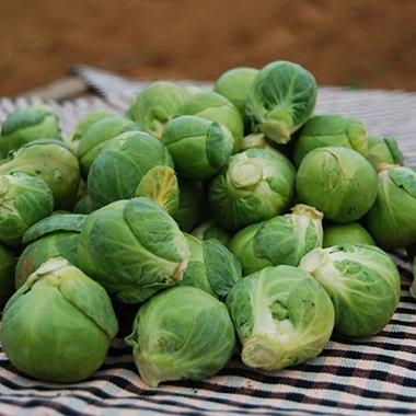 COLS DE BRUSSEL·LES ECO 500GR | 118 | ORIGEN: NAVARRA | Venda de verdures i fruites 100% ecològiques