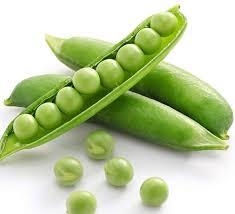 PÈSOLS ECOLÒGICS 500gr | 125 | ORIGEN: CABRILS | Venda de verdures i fruites 100% ecològiques