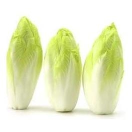 ENDÍVIA ECOLÒGICA. 3 UNITATS. 300gr (aprox.) | 304 | ORIGEN: NAVARRA | Venda de verdures i fruites 100% ecològiques