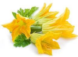 FLORS DE CARBASSÓ ECOLÒGIC 6 UNITATS.  | 304 | ORIGEN: HORT D'EN PAU | Venda de verdures i fruites 100% ecològiques