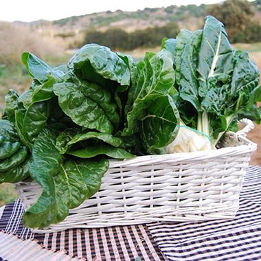 BLEDES ECOLÒGIQUES 1 MANAT | 155 | ORIGEN: L'HORT D'EN PAU | Venda de verdures i fruites 100% ecològiques