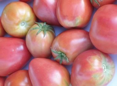 TOMÀQUET COR DE BOU d'en PEP (30 llavors aprox) | 765 | Venda de verdures i fruites 100% ecològiques