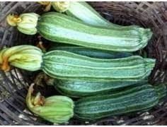 CARBASSÓ DEL PAÍS (15 llavors aprox) | 776 | Venda de verdures i fruites 100% ecològiques