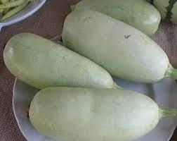 CARBASSÓ BLANC de CÓRRER (15 llavors aprox) | 776 | Venda de verdures i fruites 100% ecològiques