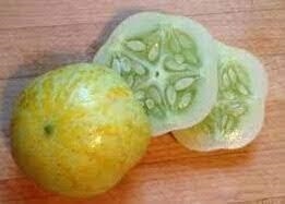 COGOMBRE LLIMONA (25 llavors aprox) | 778 | Venda de verdures i fruites 100% ecològiques