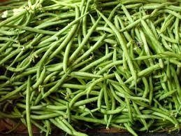 MONGETA del CUC (50 llavors aprox) | 781 | Venda de verdures i fruites 100% ecològiques