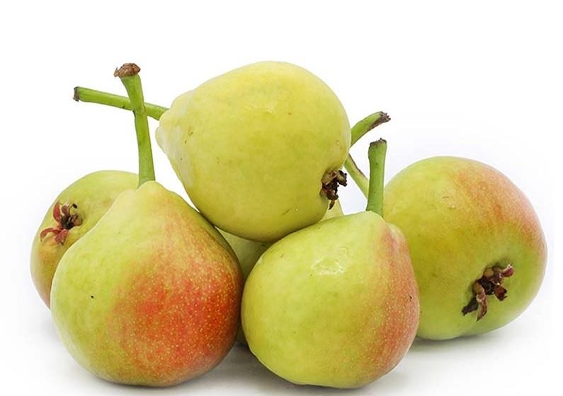 PERA DE SANT JOAN ECOLÒGICA 500gr | 659 | ORIGEN: LA NOGUERA (LLEIDA) | Venda de verdures i fruites 100% ecològiques