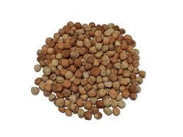 PÈSOL NEGRE ECOLÒGIC 250gr | 91 | ORIGEN: BERGUEDÀ | Venda de verdures i fruites 100% ecològiques