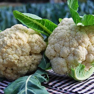 Coliflor blanca ecològica,