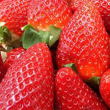 MADUIXOTS ECOLÒGICS 500gr | 394 | ORIGEN: MATARÓ | Venda de verdures i fruites 100% ecològiques
