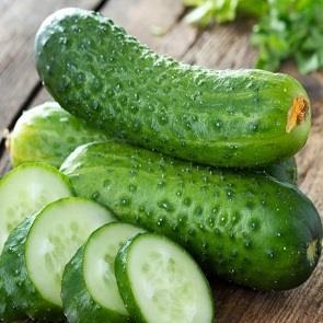 COGOMBRE ECOLÒGIC 500gr.  | 393 | ORIGEN: HORT D'EN PAU | Venda de verdures i fruites 100% ecològiques